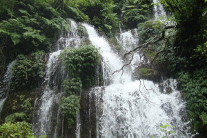 gaumukhi_4.jpg